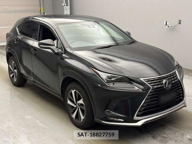 Lexus NX 2021-06 8649243-15
