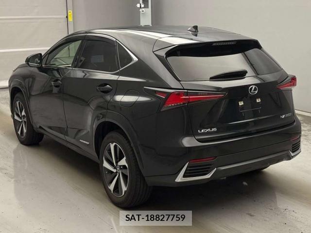 Lexus NX 2021-06 8649243-9