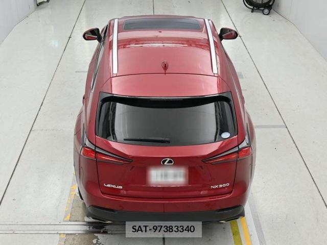 Lexus NX 2018-06 8649253-10