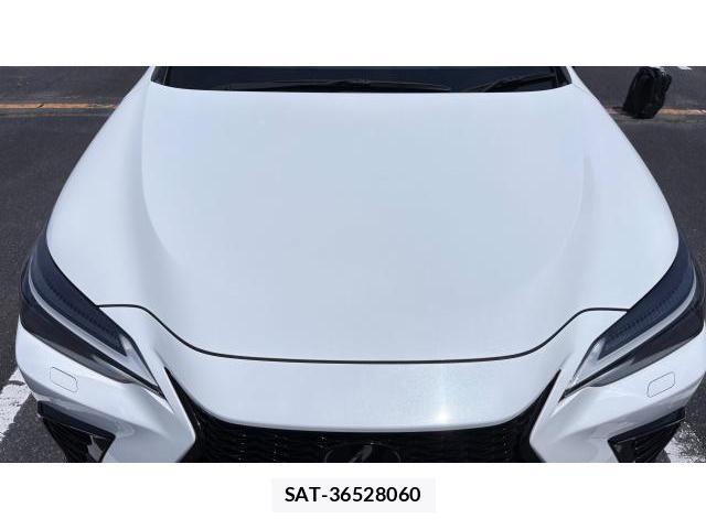Lexus NX 2022-10 8649636-19