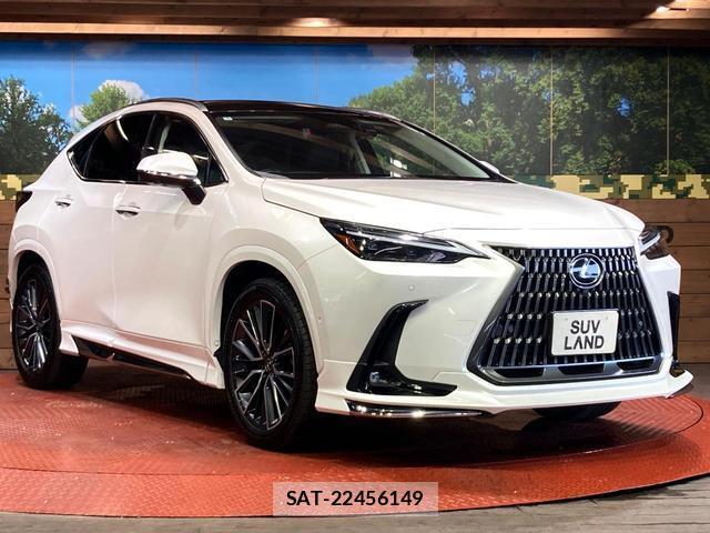 Lexus NX 2023-07 8649868-14