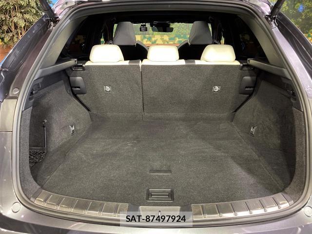 Lexus NX 2023-08 8649873-10