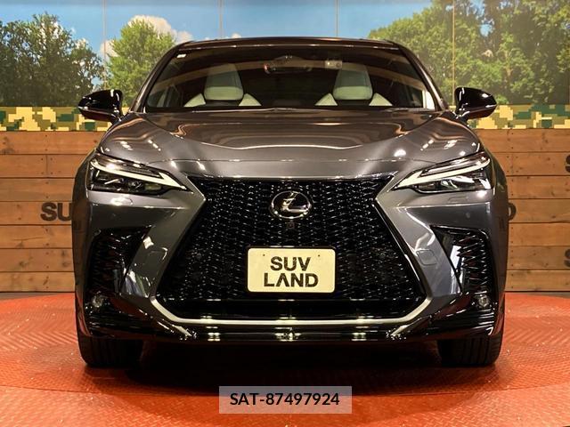 Lexus NX 2023-08 8649873-13