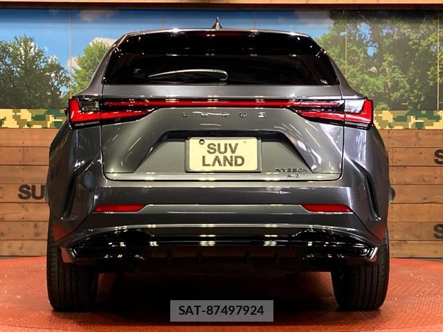 Lexus NX 2023-08 8649873-14