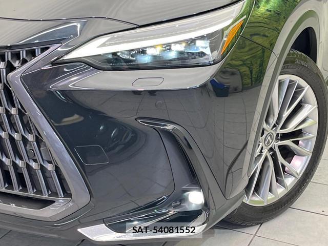 Lexus NX 2022-01 8650789-11
