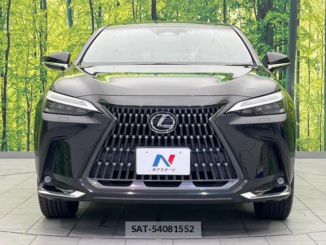 Lexus NX 2022-01 8650789-13