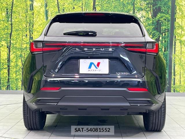 Lexus NX 2022-01 8650789-14