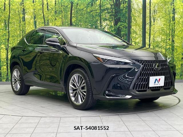 Lexus NX 2022-01 8650789-15