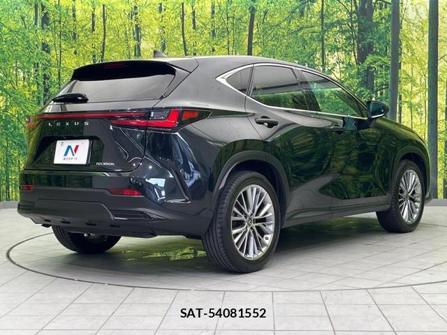 Lexus NX 2022-01 8650789-16
