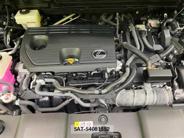 Lexus NX 2022-01 8650789-17
