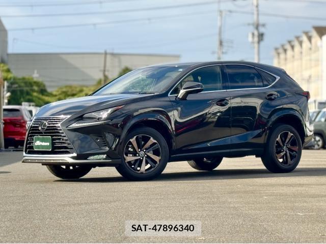 Lexus NX 2021-04 8651162-0