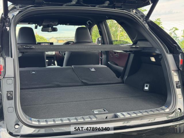 Lexus NX 2021-04 8651162-15