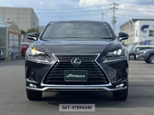 Lexus NX 2021-04 8651162-16