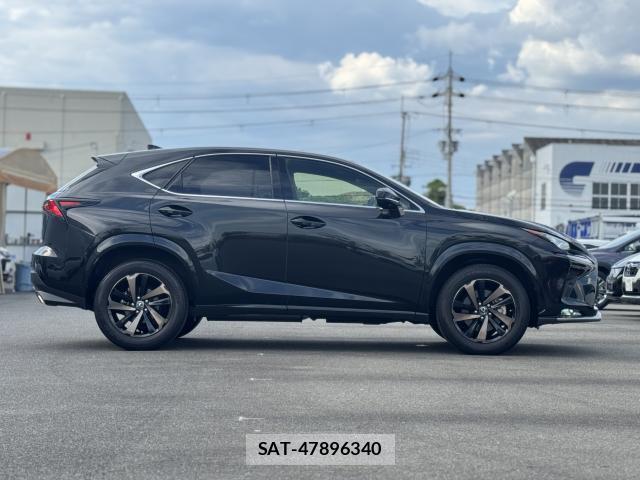 Lexus NX 2021-04 8651162-17