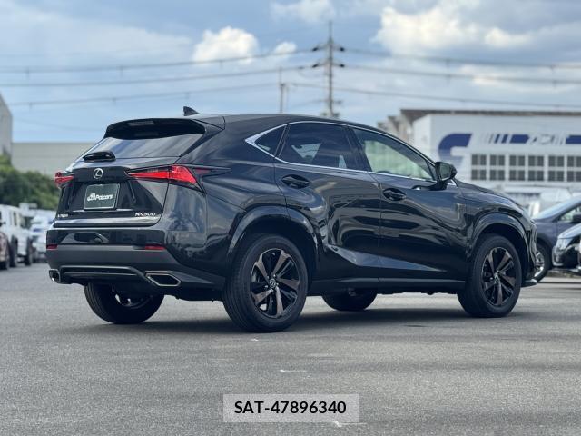Lexus NX 2021-04 8651162-19