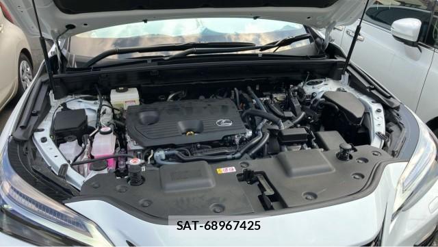 Lexus NX 2025-11 8651288-7