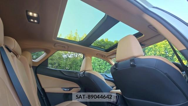 Lexus NX 2023-04 8651319-15