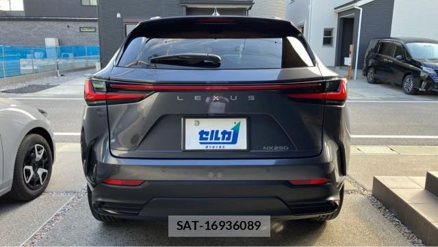 Lexus NX 2023-11 8651456-1