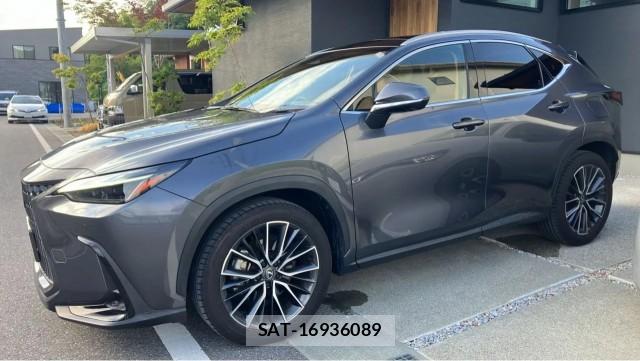 Lexus NX 2023-11 8651456-10