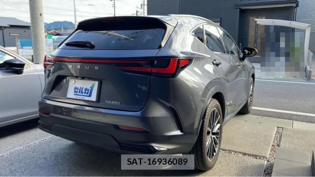Lexus NX 2023-11 8651456-12