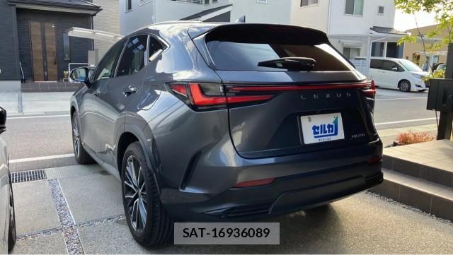 Lexus NX 2023-11 8651456-13