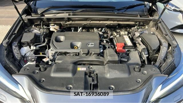 Lexus NX 2023-11 8651456-7