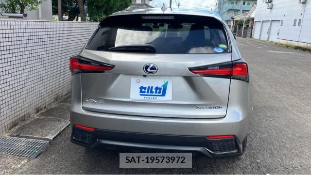 Lexus NX 2020-11 8651477-1