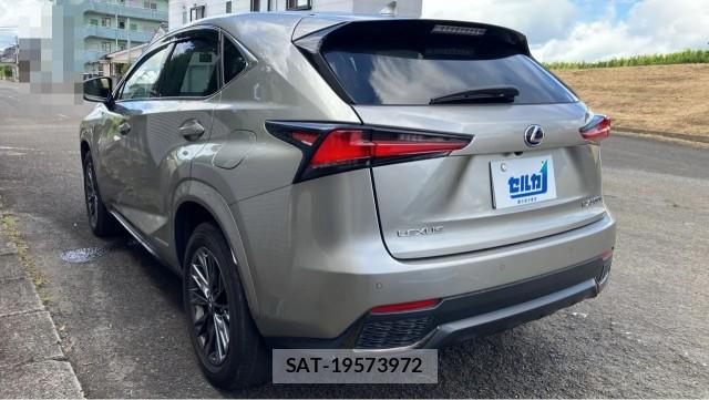 Lexus NX 2020-11 8651477-13