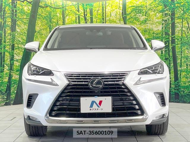 Lexus NX 2018-05 8651702-13