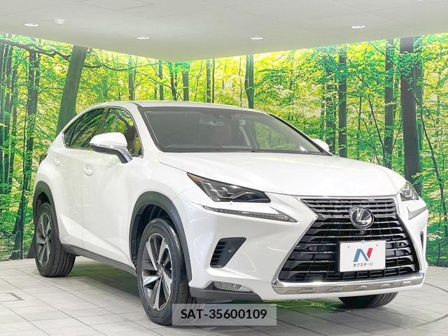 Lexus NX 2018-05 8651702-15