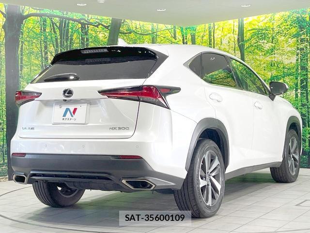 Lexus NX 2018-05 8651702-16