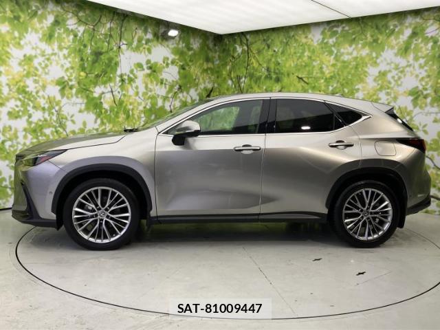 Lexus NX 2022-11 8653843-1