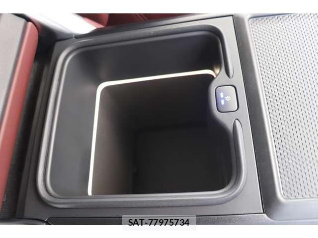 Land Rover RANGE ROVER 2024 8646802-17