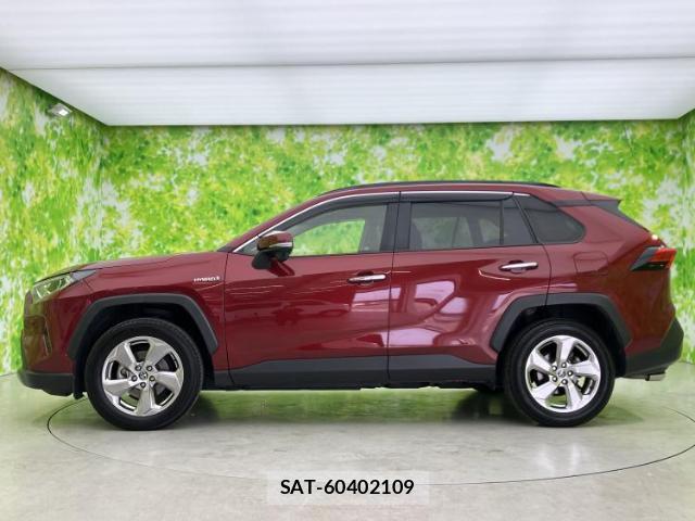 Toyota RAV4 2019-07 8646613-1