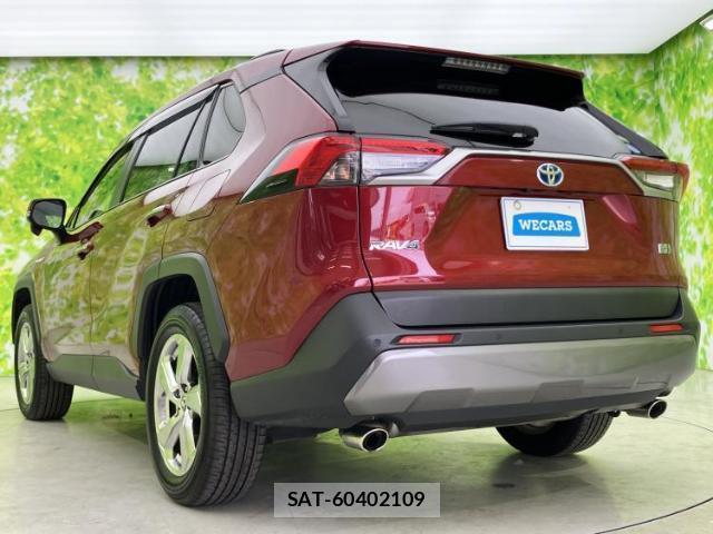 Toyota RAV4 2019-07 8646613-2