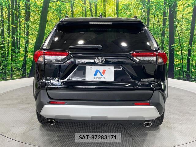 Toyota RAV4 2019-06 8646820-15