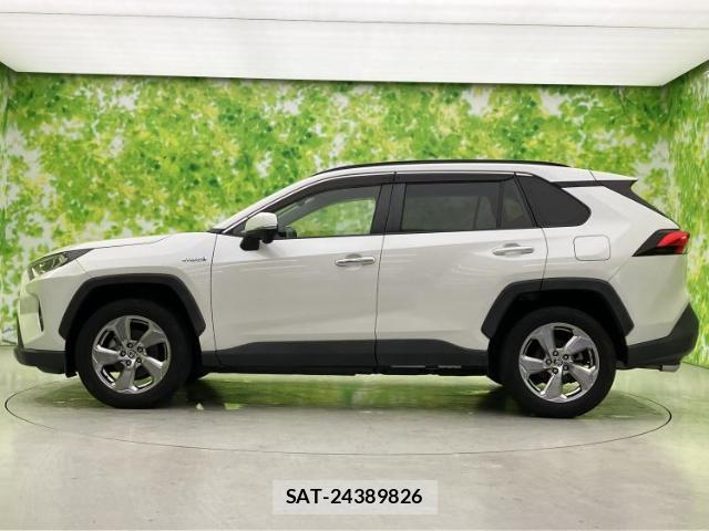 Toyota RAV4 2019-08 8647952-1