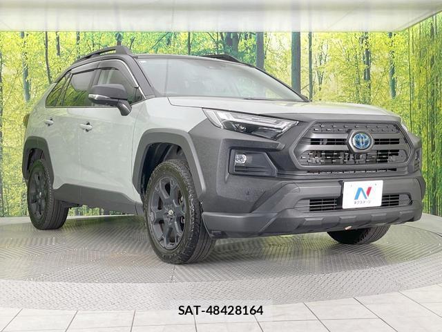 Toyota RAV4 2024-03 8648791-15