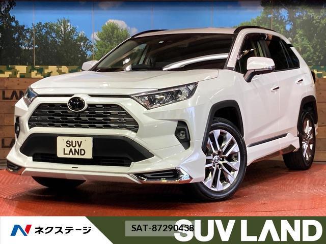 Toyota RAV4 2023-04 8649870-0
