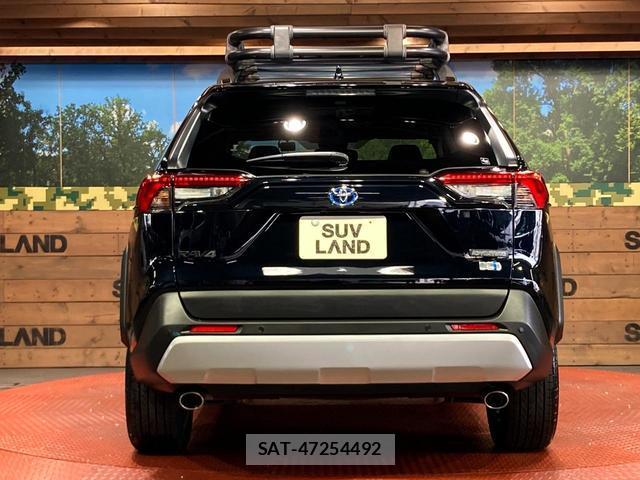 Toyota RAV4 2024-04 8649875-14