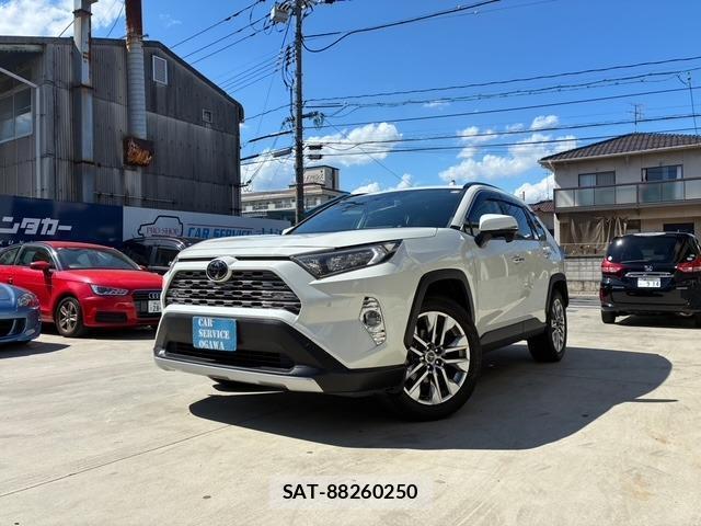 Toyota RAV4 2019-08 8650761-0