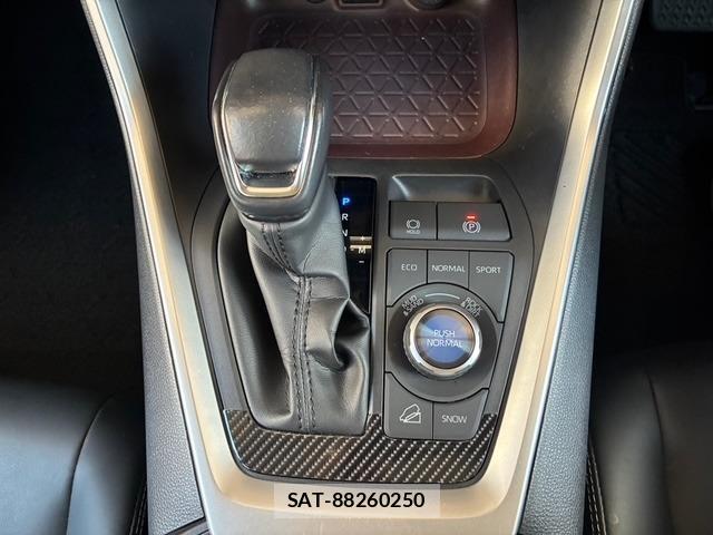 Toyota RAV4 2019-08 8650761-18