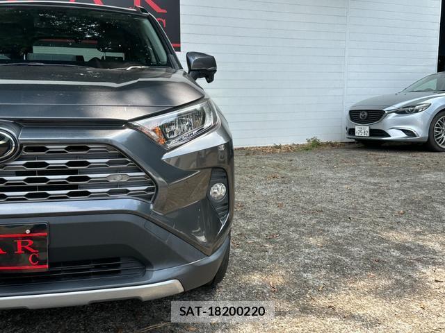 Toyota RAV4 2019-09 8651236-11