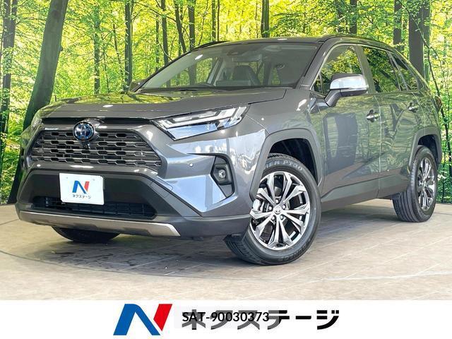 Toyota RAV4 2023-10 8651566-0