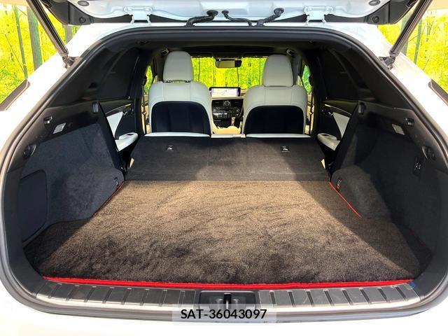 Lexus RX 2016-04 8649342-11