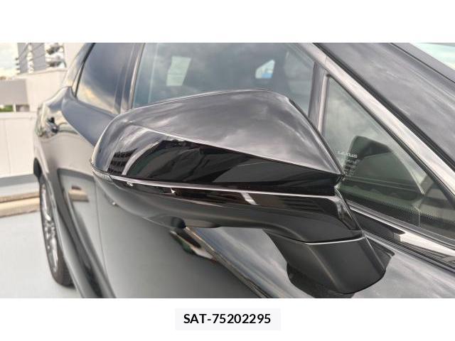 Lexus RX 2024 8649612-19