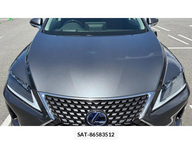 Lexus RX 2022 8649647-13
