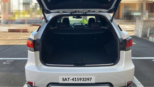 Lexus RX 2020-12 8651276-17