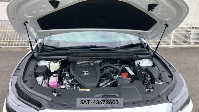 Lexus RX 2025-07 8651417-7