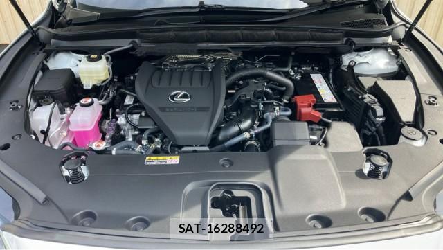 Lexus RX 2025-07 8651428-7